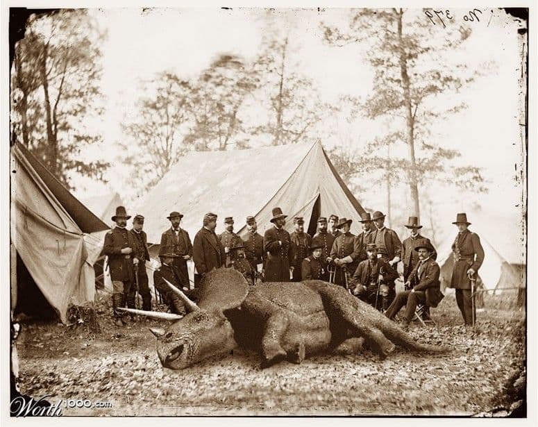 Bo Sacks Speaks Out: Der Spiegel Did What Most of Us Only Talk About